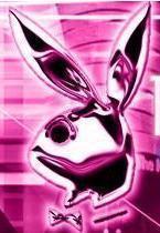 bunny6.jpg